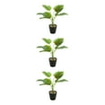 thumbnail image 4 of Injueey Plantas falsas en maceta de tortuga ABS, hojas artificiales de bajo mantenimiento para el hogar y la Oficina, flores falsas JH5472 Type1 NO1, 4 of 6