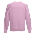 thumbnail image 2 of Fruit Of The Loom - Sudadera con mangas raglan Modelo Belcoro® hombre caballero (Cielo), 2 of 2