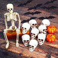 Pub Table Prop 8PCS Halloween Skull Heads Decor,Plastic Human Skeleton Skulls Head ...