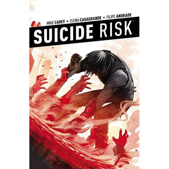 Suicide Risk: Suicide Risk Vol. 4 (Series #4) (Paperback)