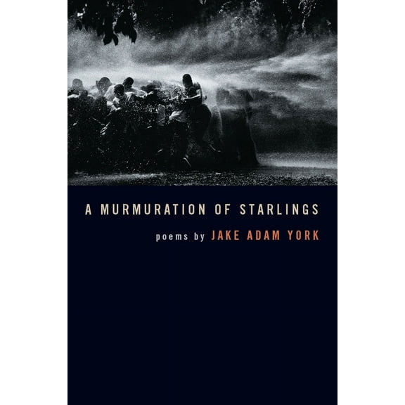 Crab Orchard Series in Poetry: A Murmuration of Starlings (Paperback)