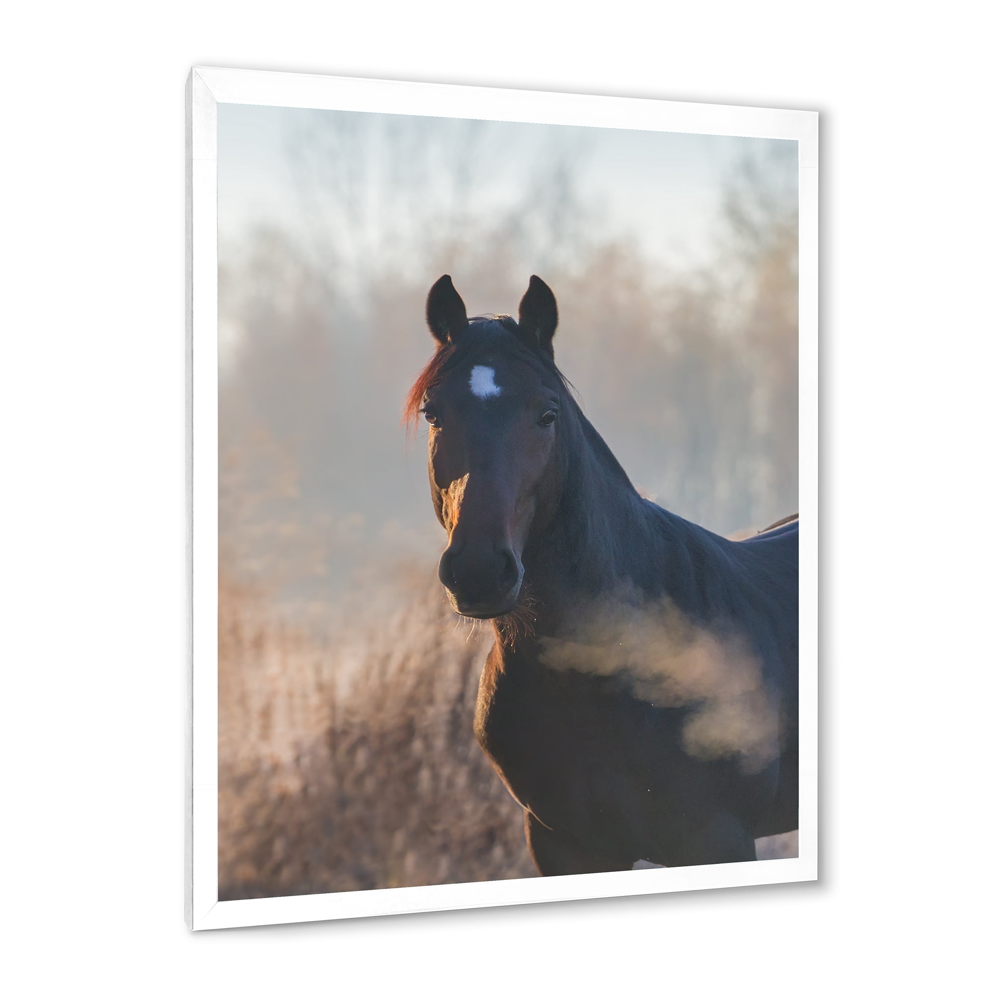 Designart 'Close Up Portrait Of A Horse On An Autumn Morning' Farmhouse Framed Art Print