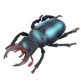 thumbnail image 2 of Modelo de simulación de insectos, arañas falsas realistas espeluznantes, grillo, mariquita, Grasshoppe E65D, 2 of 3