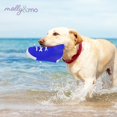 thumbnail image 2 of Molly & Mo Squeaky Dog Chew Toy Set with Baseball, Football and Shoe Shapes, For Unisex Adults - Blue, 2 of 5