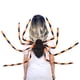 thumbnail image 1 of Xihbxyly Disfraz de Araña de Halloween, Diseño Realista de Araña Negra Peluda, Patas Flexibles y Correas de Transporte, Bolsillo de Gran Capacidad, Decoración para Casa Embrujada, Jardín, Festival, 9, 1 of 2