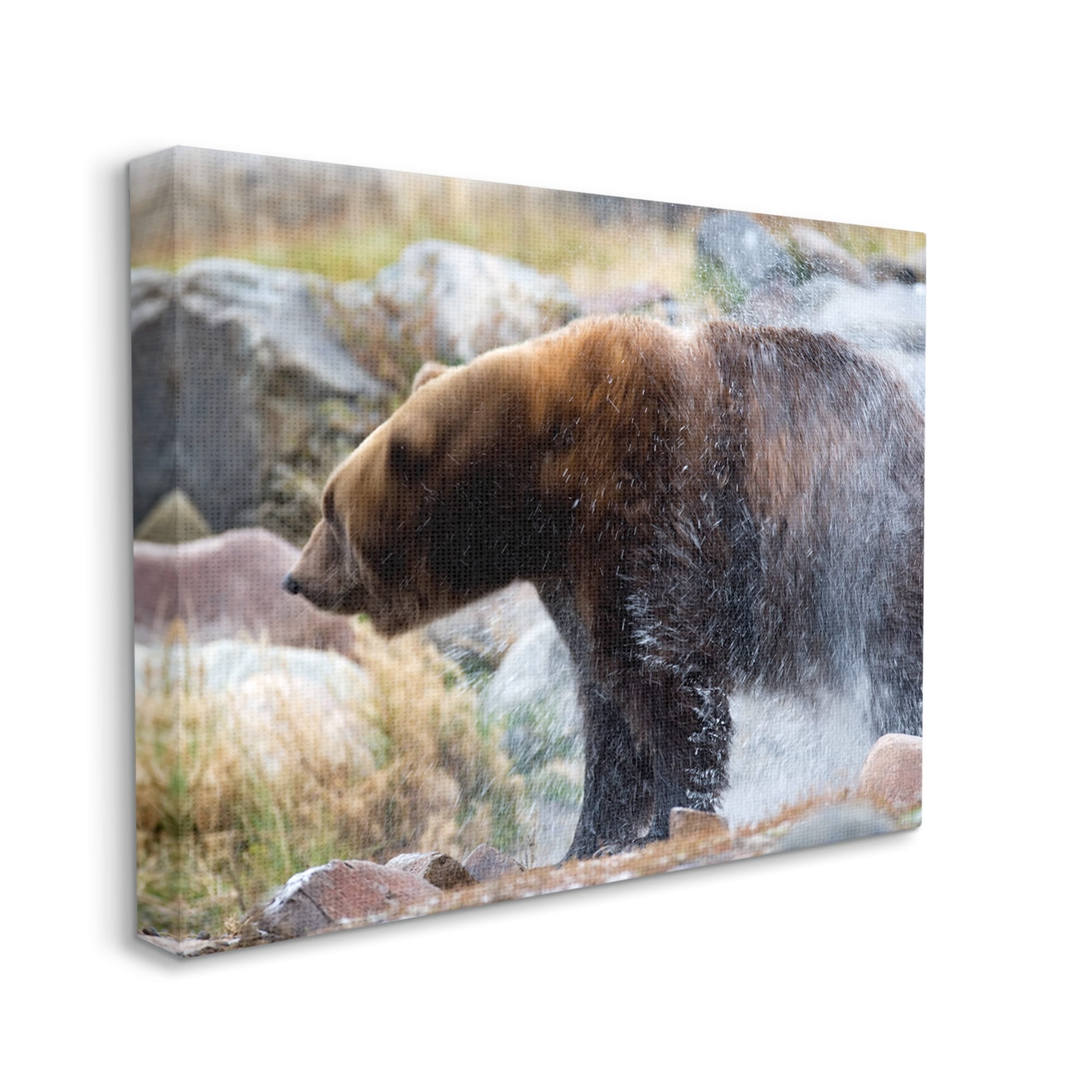 Stupell Industries Bear Bathing In Stream Photography Animals & Insects Photography Gallery Wrapped Canvas Print Wall Art