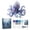 B, variant on Mythical Ocean DIY Bead Kit for Beginners,3D Beaded Animal Making Kit with Step-by-Step Instructions,Cute Underwater Creature Bead Embroidery Craft Set for Beginners & Craft Enthusiasts,E