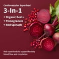 thumbnail image 3 of Snap Supplements Beetroot Powder, Organic Dietary Supplement, Heart Health, Antioxidants, Nitric Oxide Booster, 3 of 10