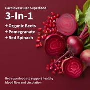 Snap Supplements Beetroot Powder, Organic Dietary Supplement, Heart Health, Antioxidants, Nitric Oxide Booster