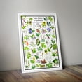 thumbnail image 4 of New Jersey Wildflowers Poster - Native Woodland Blooms - Educational Science Chart of New Jersey Flowers, 4 of 5