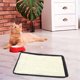 thumbnail image 4 of Alfombra rascadora para gatos, 30x20,5 cm, Sisal, Beige/Negro, 4 of 5