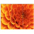 thumbnail image 3 of Designart - Grande Fleur Orange et Pétales - Impression sur Toile Florale, 3 of 4