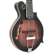 Gold Tone F-12: 12-string F-style Mando-Guitar with Pickup and Case