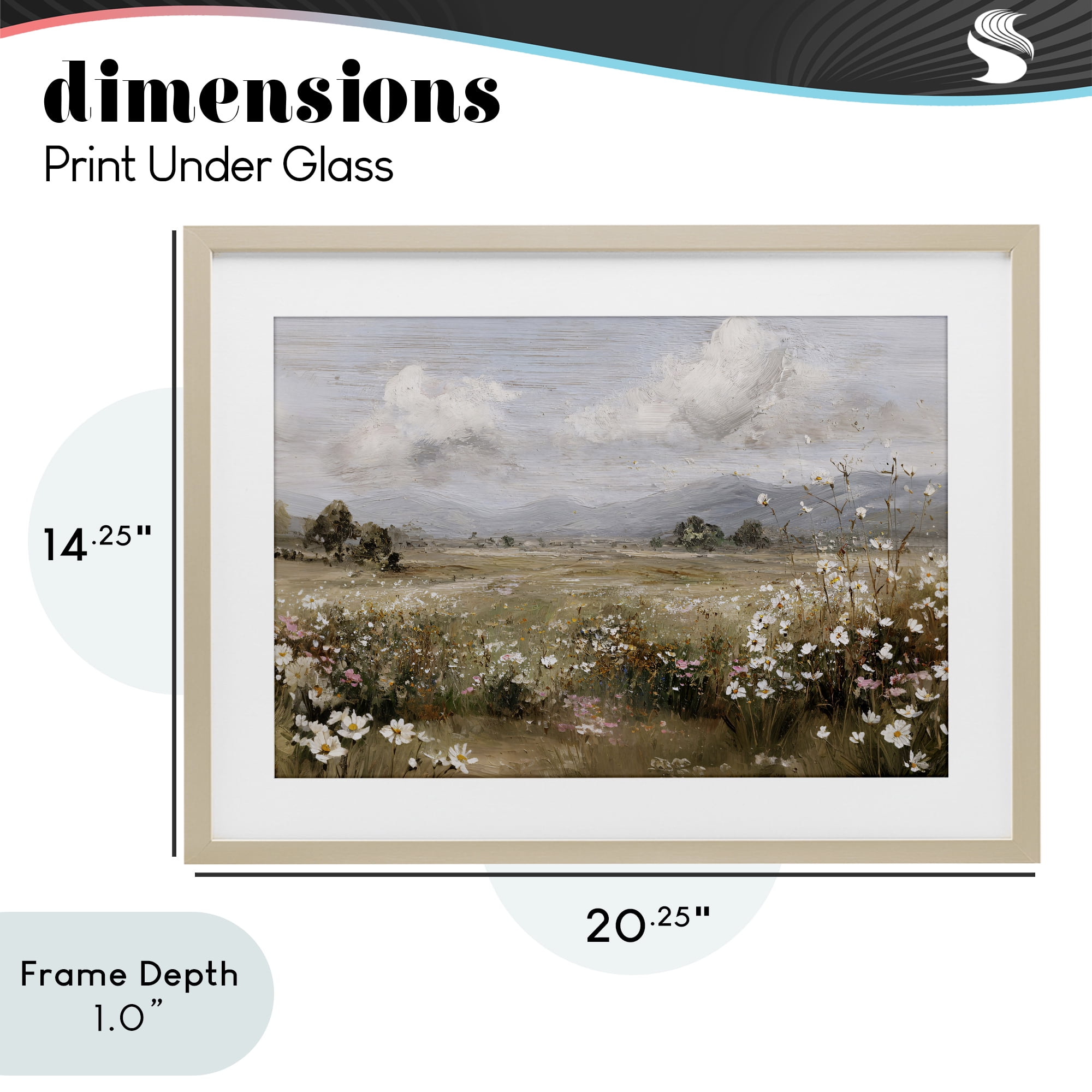 Stupell Industries Daisy Clusters in Field Birch Framed Print Under Glass, design by Jacky Ngan