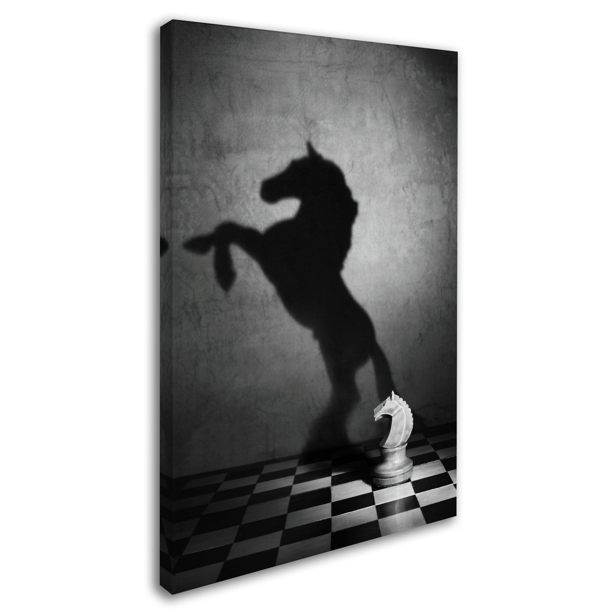 Trademark Fine Art 'The Soul Of A Mustang' Canvas Art by Victoria Ivanova