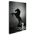 thumbnail image 2 of Trademark Fine Art 'The Soul Of A Mustang' Canvas Art by Victoria Ivanova, 2 of 3