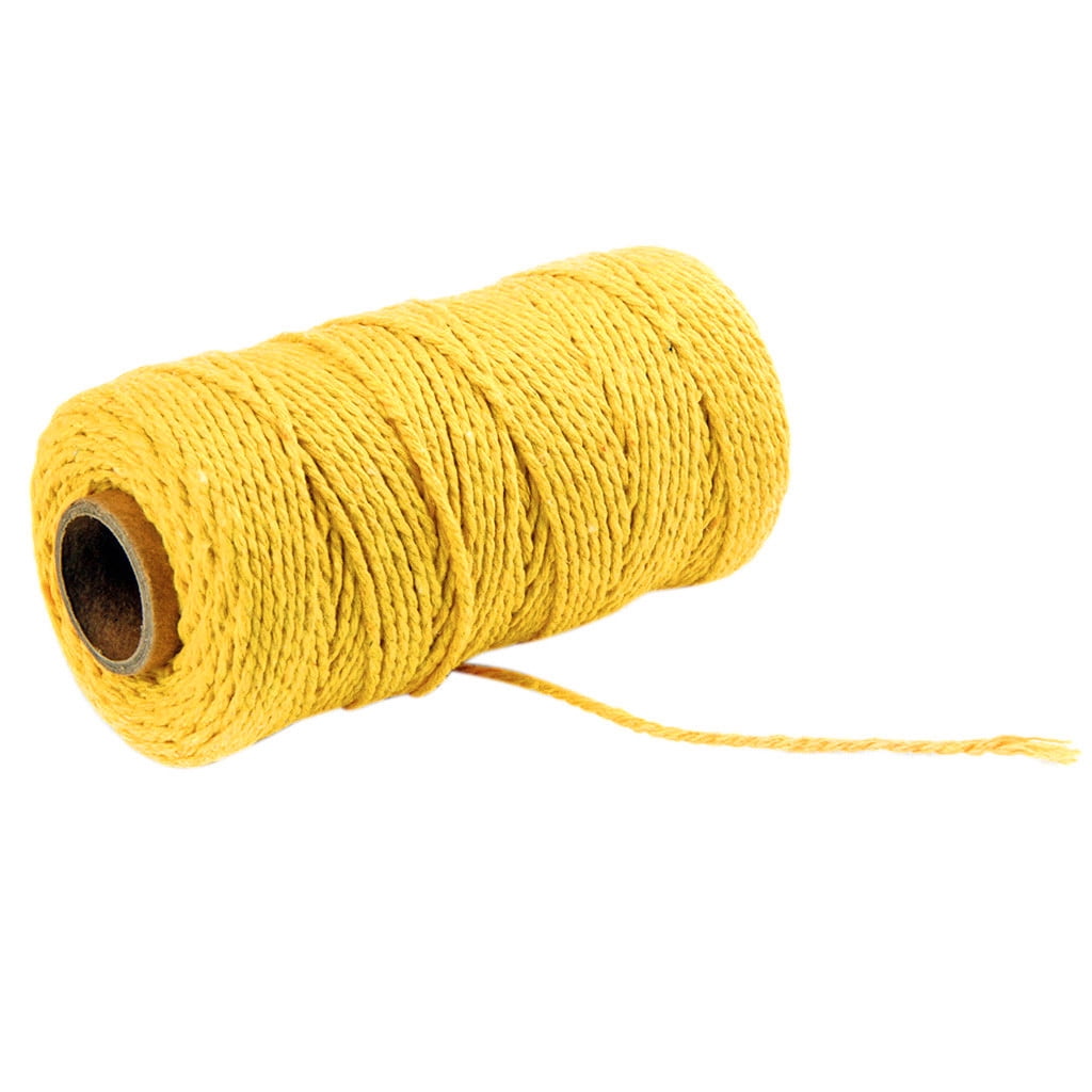 Macrame Cord, 2mm X 110 Yd (aproximadamente 100m) 100% algodón natural  Cuerda suave sin manchas para la fabricación artesanal de colgantes de  pared de colgador de plantas, amarillo beige