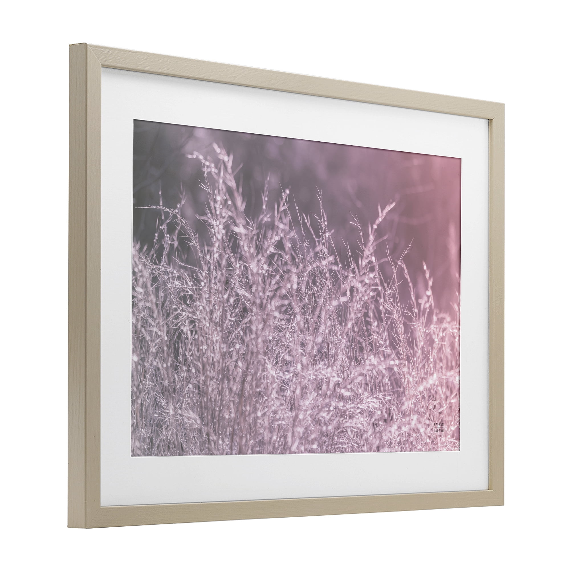Stupell Industries Pink Morning Gentle Meadow Birch Framed Print Under Glass, design by Nathan Larson