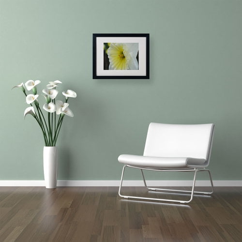 Trademark Fine Art "Vitality" by Monica Fleet, Black Frame