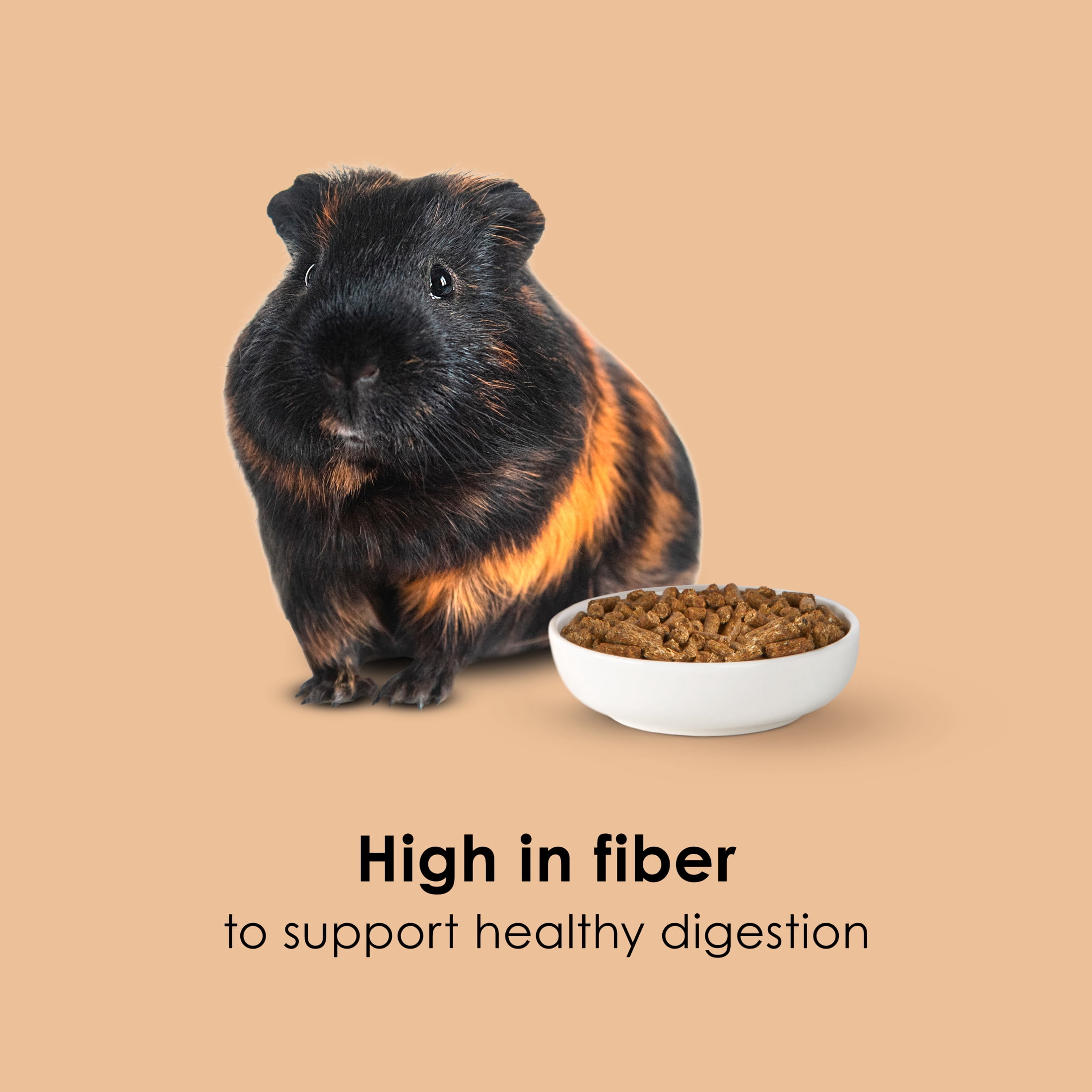 Kaytee Timothy Complete Guinea Pig Food 25 Pounds