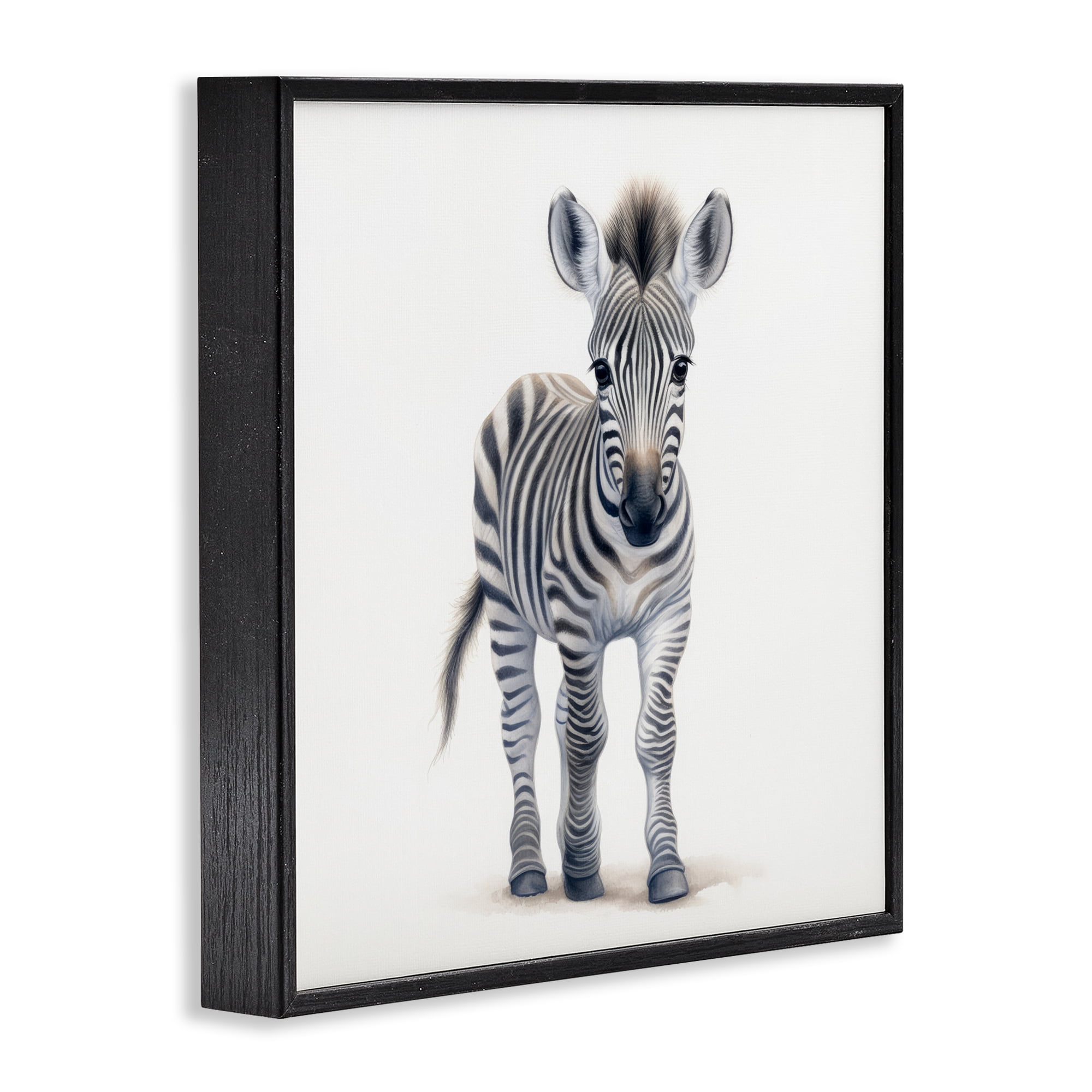 Stupell Industries Friendly Zebra Foal Black Framed Giclee Art, design by Ray Powers