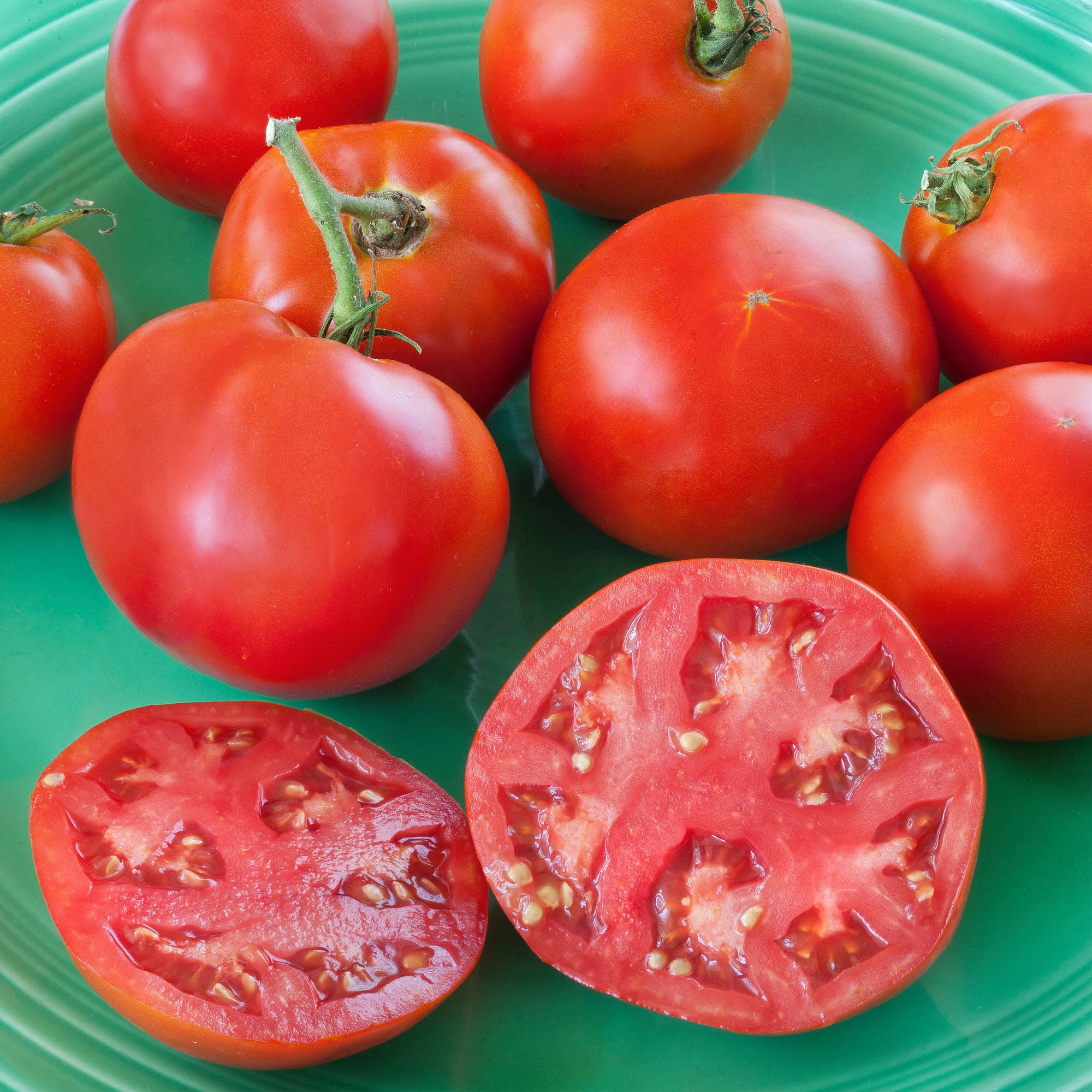 Bonnie Plants Original Tomato 19.3 oz. 2-pack