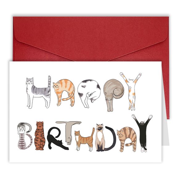 Bhiosng Tarjeta de feliz cumpleaños para amantes de los gatos, tarjetas de cumpleaños divertidas para hombres y mujeres, lindo propietario de gato, regalo de cumpleaños de humor de gato, tarjeta de re