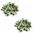thumbnail image 2 of 12 Inch 2 Piece Christmas Wreath Set, Seasonal Home Decor, Winter Decorations for Home, Christmas Wreaths with Variegated Faux Holly Leaves and Pine Cones, No-Maintenance Holiday, 2 of 7