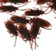 thumbnail image 5 of Regalos De Cucarachas Falsas, Regalos De Fiesta No Fáciles De Romper Cucarachas Falsas, Picnics Interesantes Para El Hogar Mgaxyff Fake Cockroach Toy, 5 of 8
