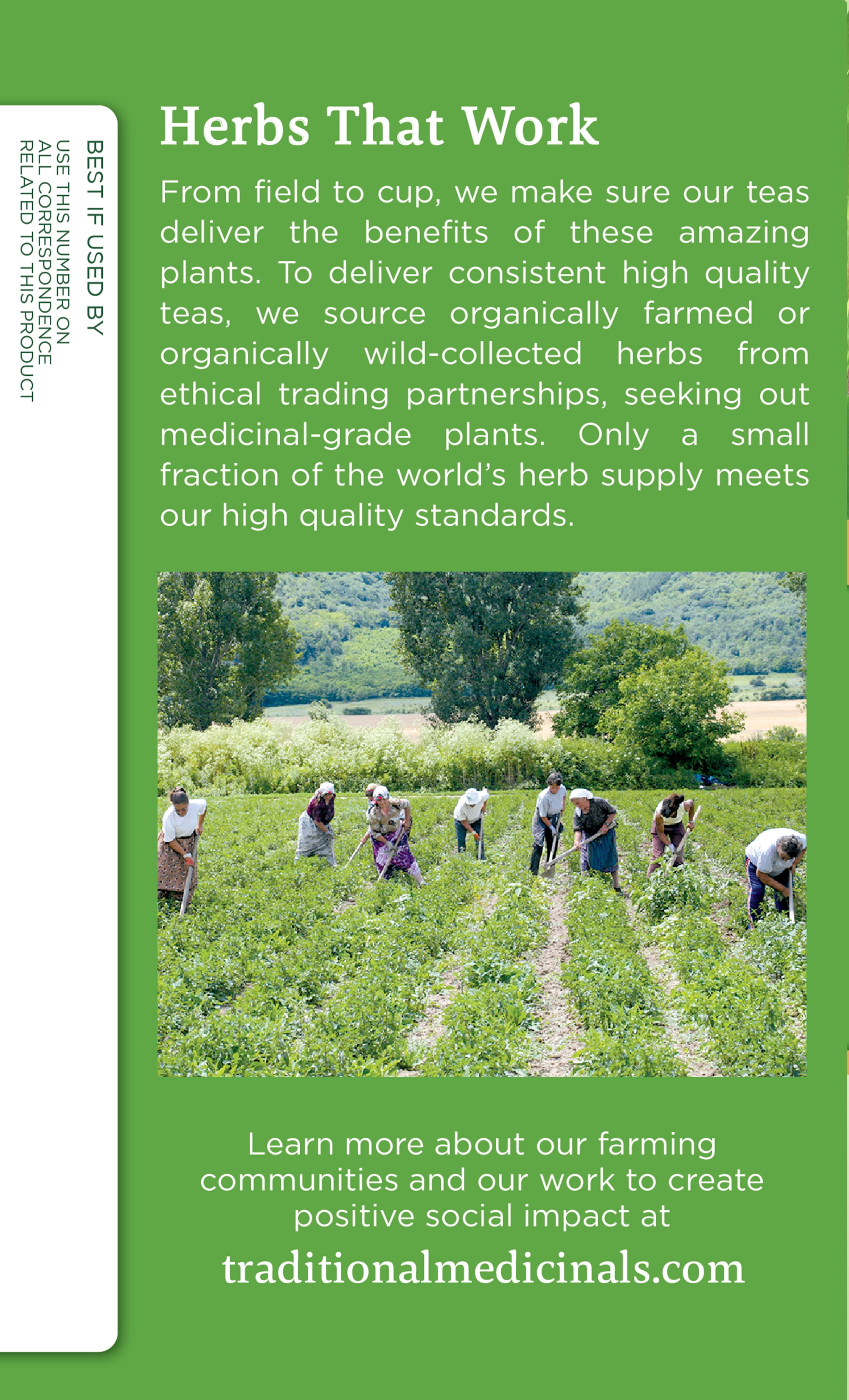 (6 pack) Traditional Medicinals, Organic Green Tea Peppermint Tea Bags, 16 Ct