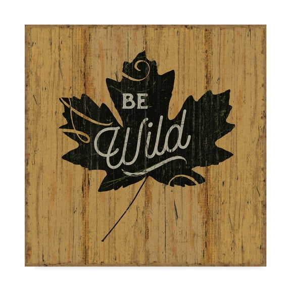 Trademark Fine Art 'Lake Lodge IX' Canvas Art by Sue Schlabach