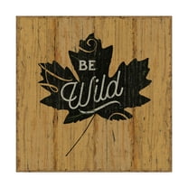 Trademark Fine Art 'Lake Lodge IX' Canvas Art by Sue Schlabach