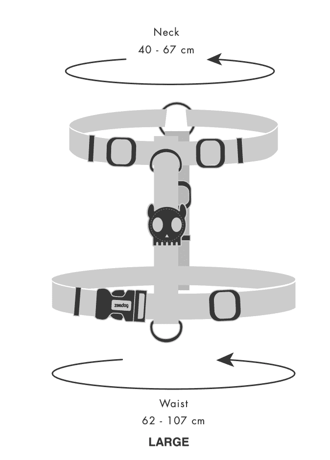 Honey | H-Harness