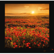 Puzzle 20x20