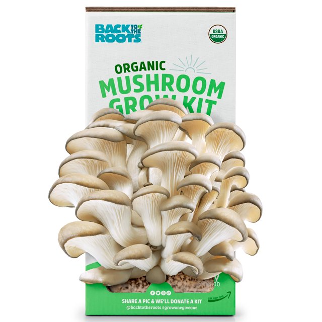 Kit de cultivo de hongos orgánicos de ostra Back to the Roots