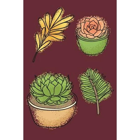 Succulents : Best Way to Store Passwords Offline Helpful Notebook Organizer for Remembering Username Pin and Login (Best Way To Store Negatives)