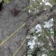 thumbnail image 1 of 48' Portable High Reach Tree Hand Rope Chain Saw Blades On Both Side, 1 of 4