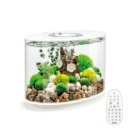 UPC: 0822728864692 | biOrb LOOP 15 Aquarium with MCR Light – 4 gallon  white
