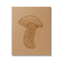 Stupell Industries Intricate Mushroom Nature Study Graphic Art Gallery Wrapped Canvas Print Wall Art, Design by Ziwei Li