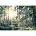 thumbnail image 2 of Landscape Wallpaper Wall Mural - Tales of a Forest, 2 of 5