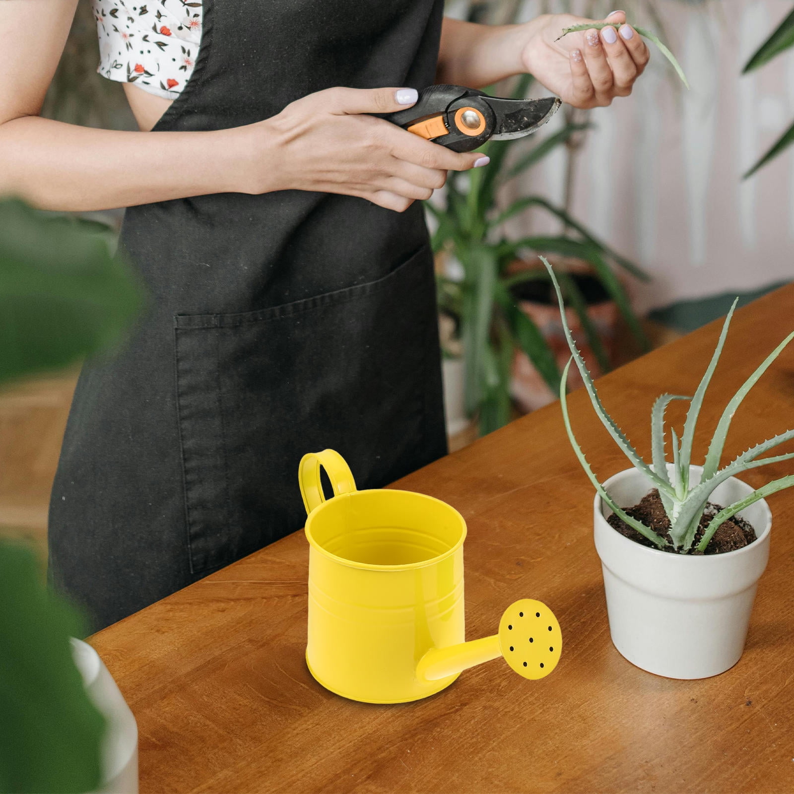 BESTYASH 2-Pack Metal Watering Cans for Garden, Assorted Colors, Outdoor Floral and Plant Care Tools