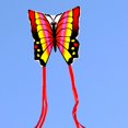 thumbnail image 3 of LOVIVER Cerf-Volant Papillon Coloré pour Enfants Adultes Jouet d'Activité Extérieure avec Queue Ressort 2, 3 of 8