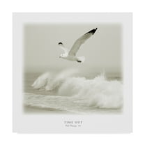 Trademark Fine Art 'Time Out 4' Canvas Art by Carlos Casamayor