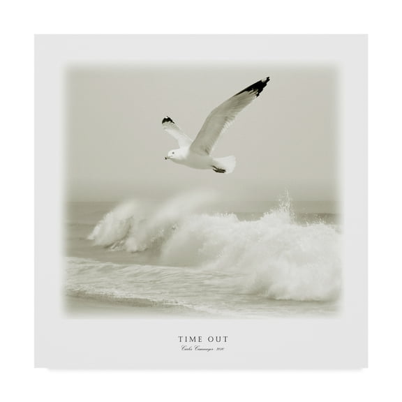 Trademark Fine Art 'Time Out 4' Canvas Art by Carlos Casamayor
