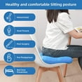 thumbnail image 2 of Hongchun Pillow and Tail Pain Relief Cushion, 2 of 4