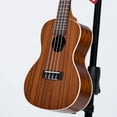 thumbnail image 5 of Kala Satin Mahogany Concert Ukulele, 5 of 5