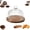 S, variant on Glass Pumpkin Cloche with Wood Base, Clear Dome Food Cover for Cake, Bread, Desserts, Fall Decor & Display