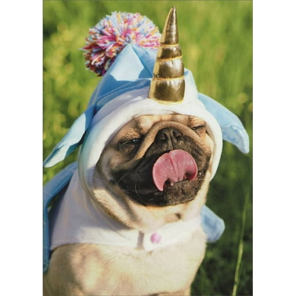 Avanti Press Unicorn Pug Funny Birthday Card