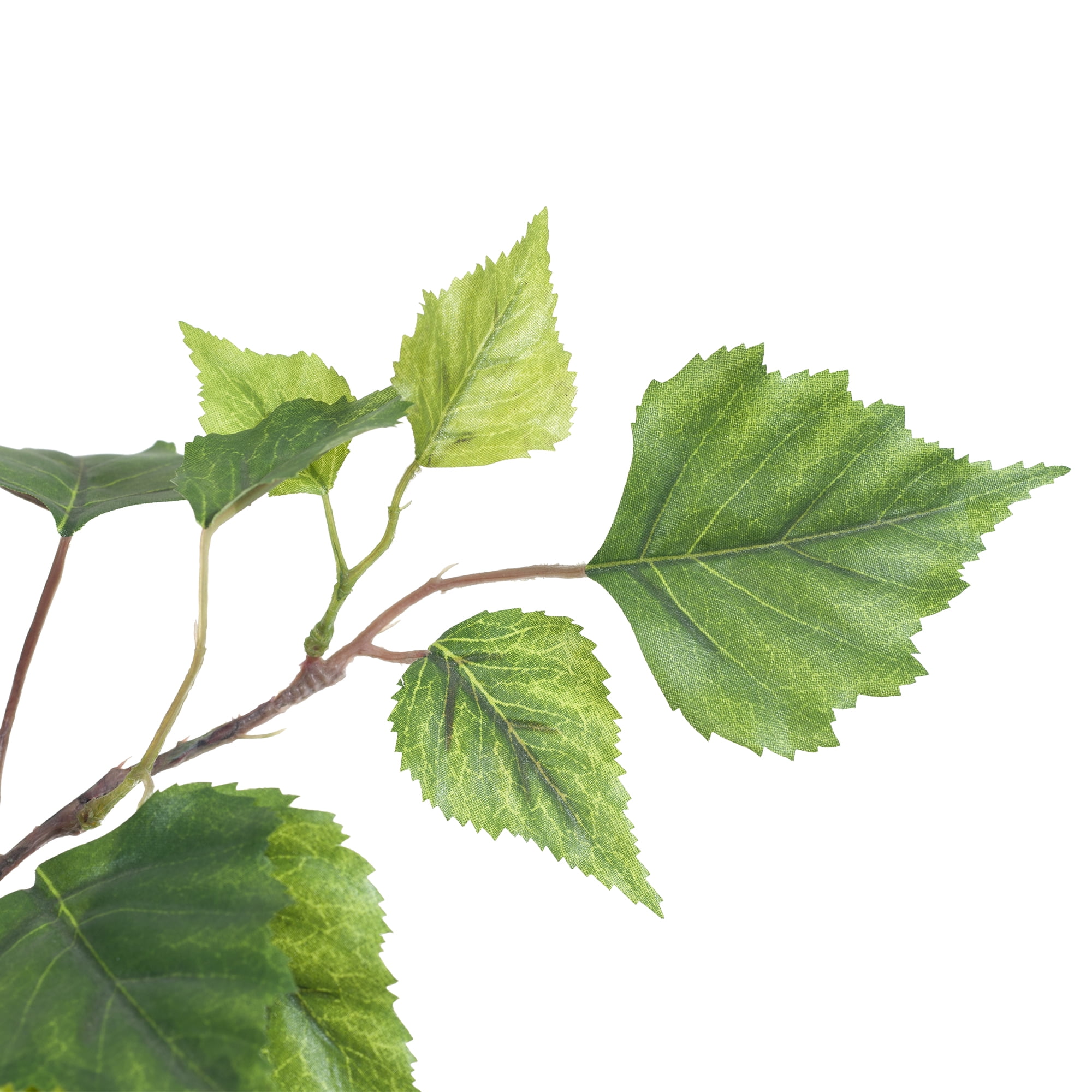 Pure Garden 5 Foot Birch Artificial Tree with Natural Looking Leaves