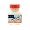 thumbnail image 2 of Calligraphy Ink white, 1 oz. (pack of 3), 2 of 2